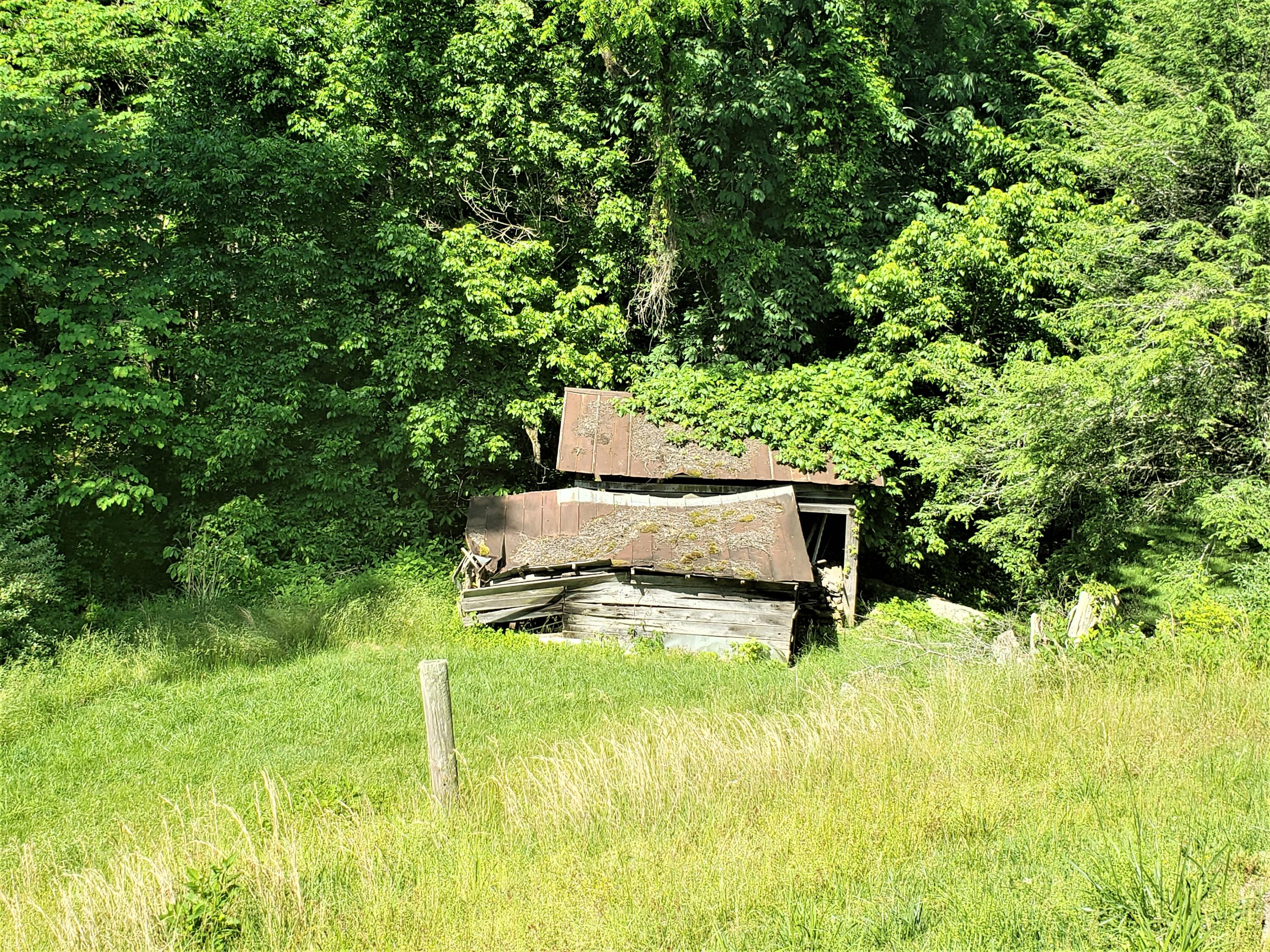 6180 Clinch Mountain Road Eidson, TN 37731 - Photo 19 of 51 15