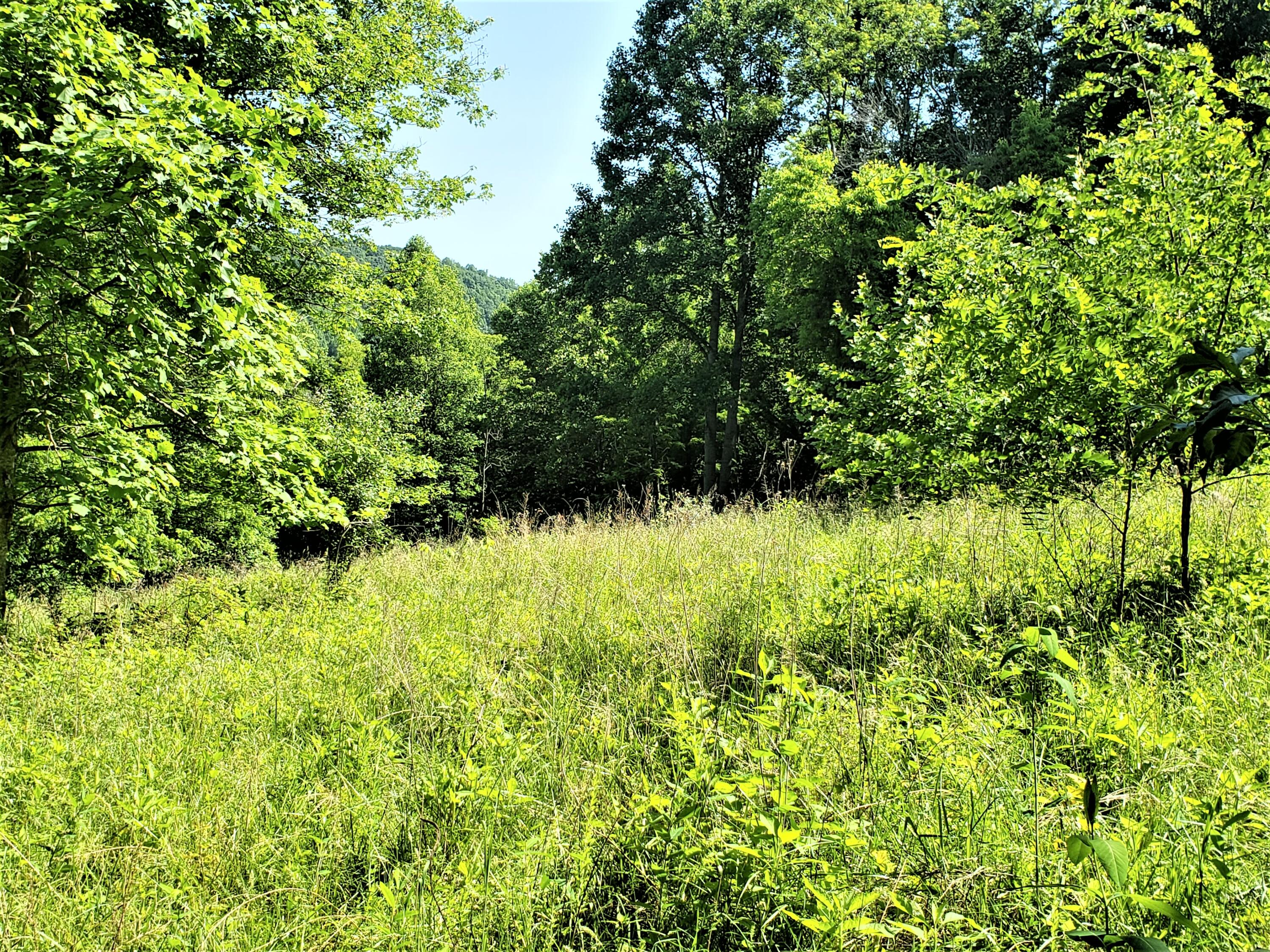 6180 Clinch Mountain Road Eidson, TN 37731 - Photo 20 of 51 16