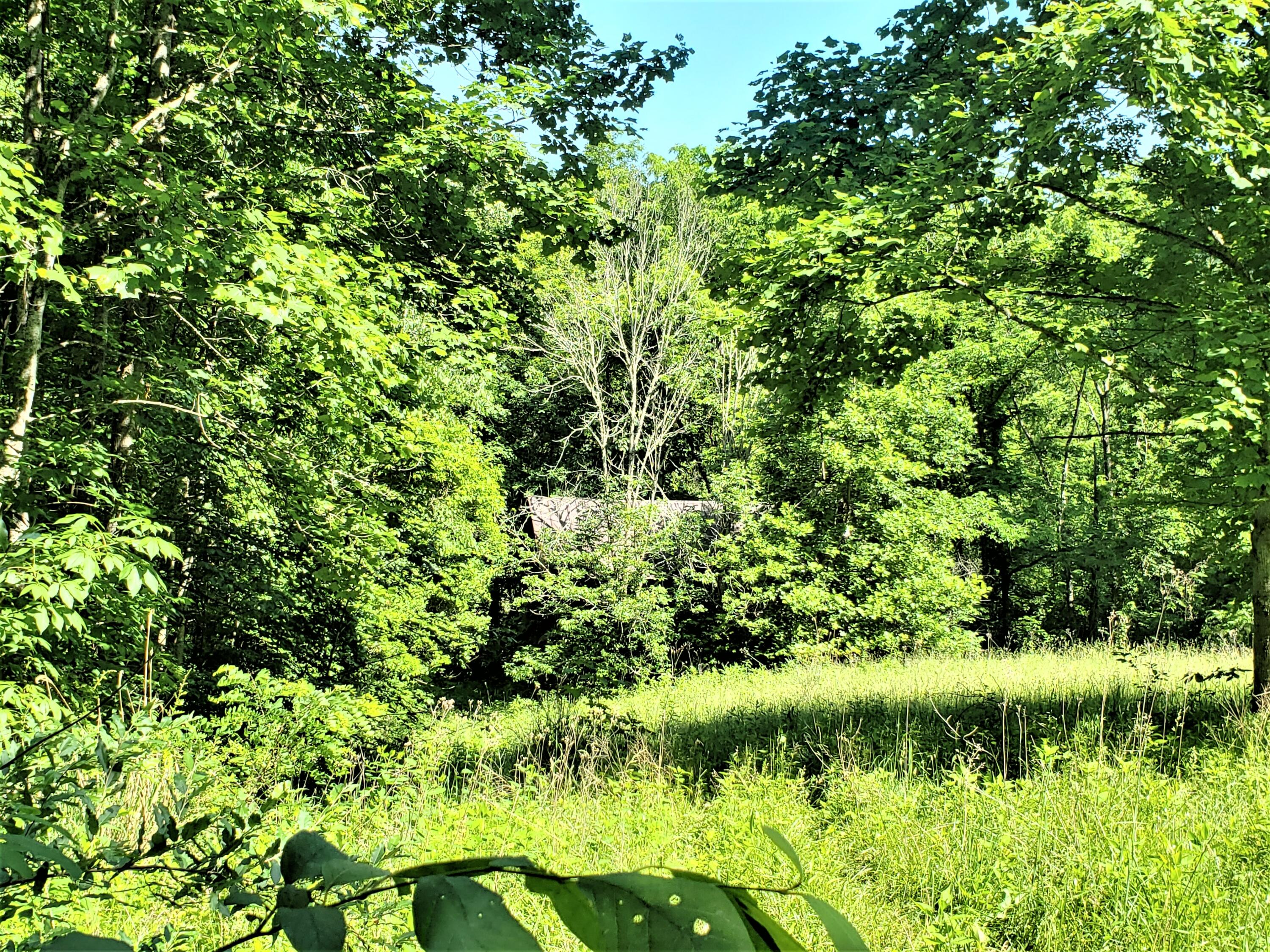 6180 Clinch Mountain Road Eidson, TN 37731 - Photo 22 of 51 18