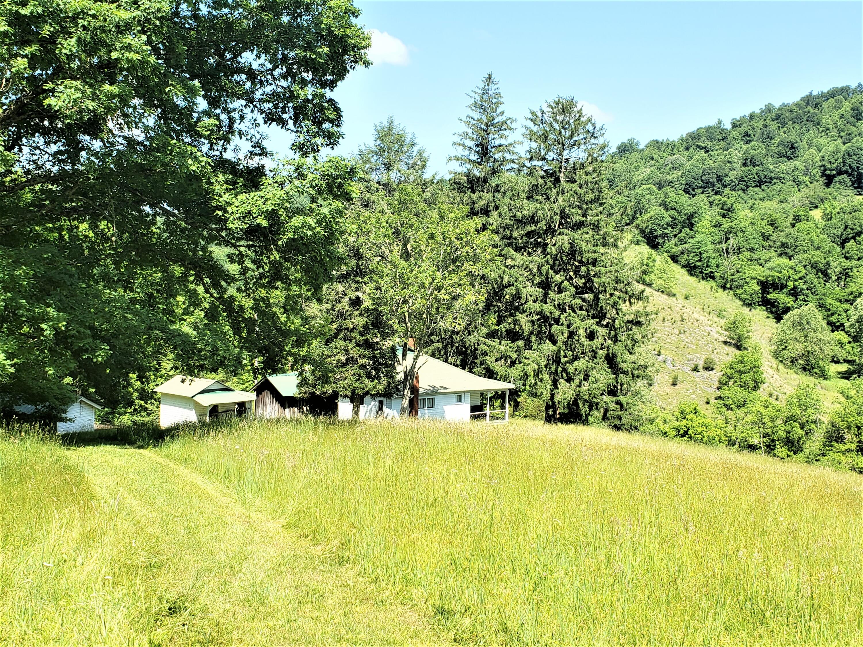 6180 Clinch Mountain Road Eidson, TN 37731 - Photo 26 of 51 24