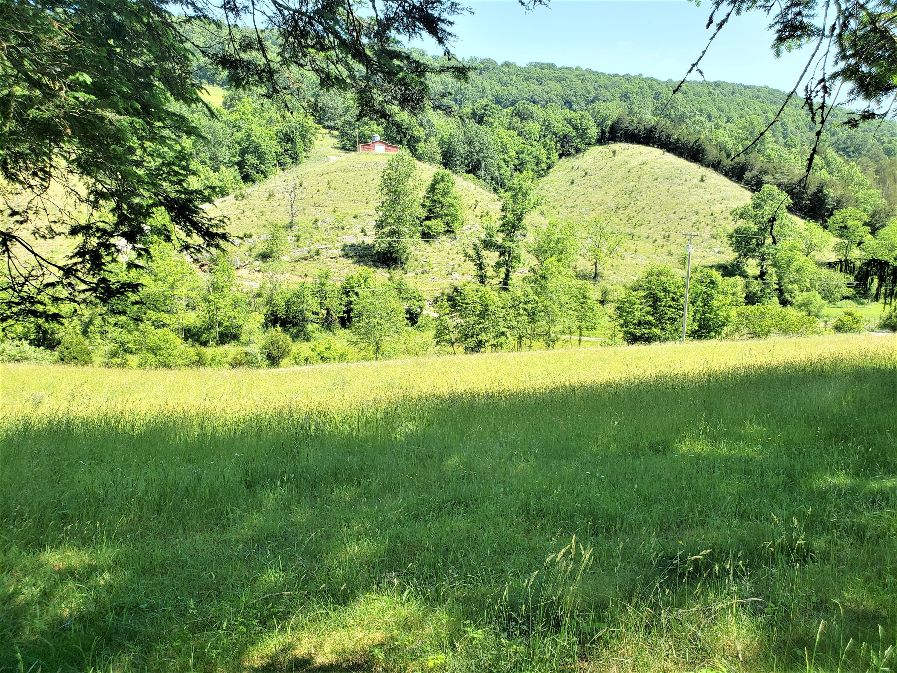 6180 Clinch Mountain Road Eidson, TN 37731 - Photo 30 of 51 30