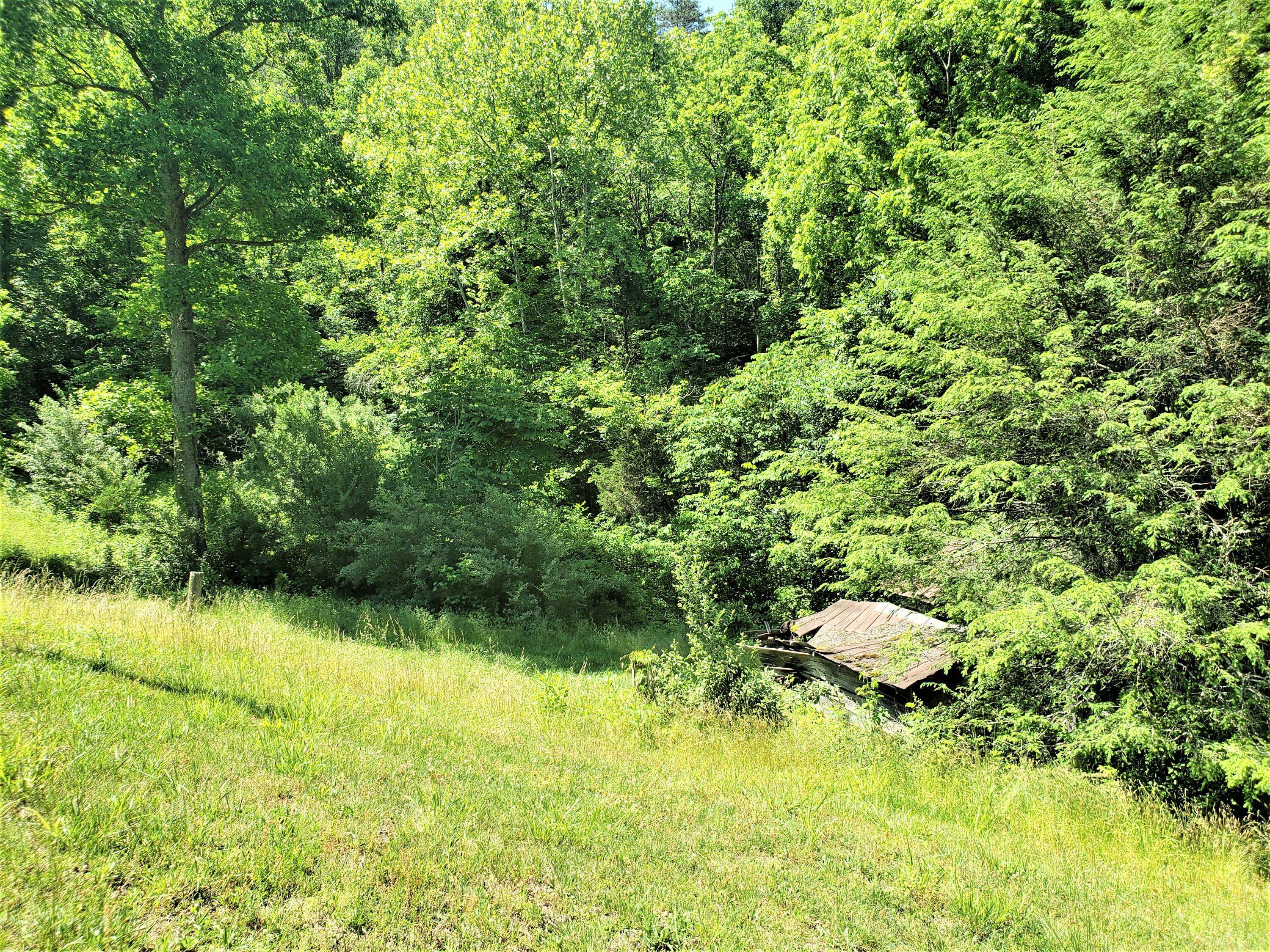 6180 Clinch Mountain Road Eidson, TN 37731 - Photo 31 of 51 31