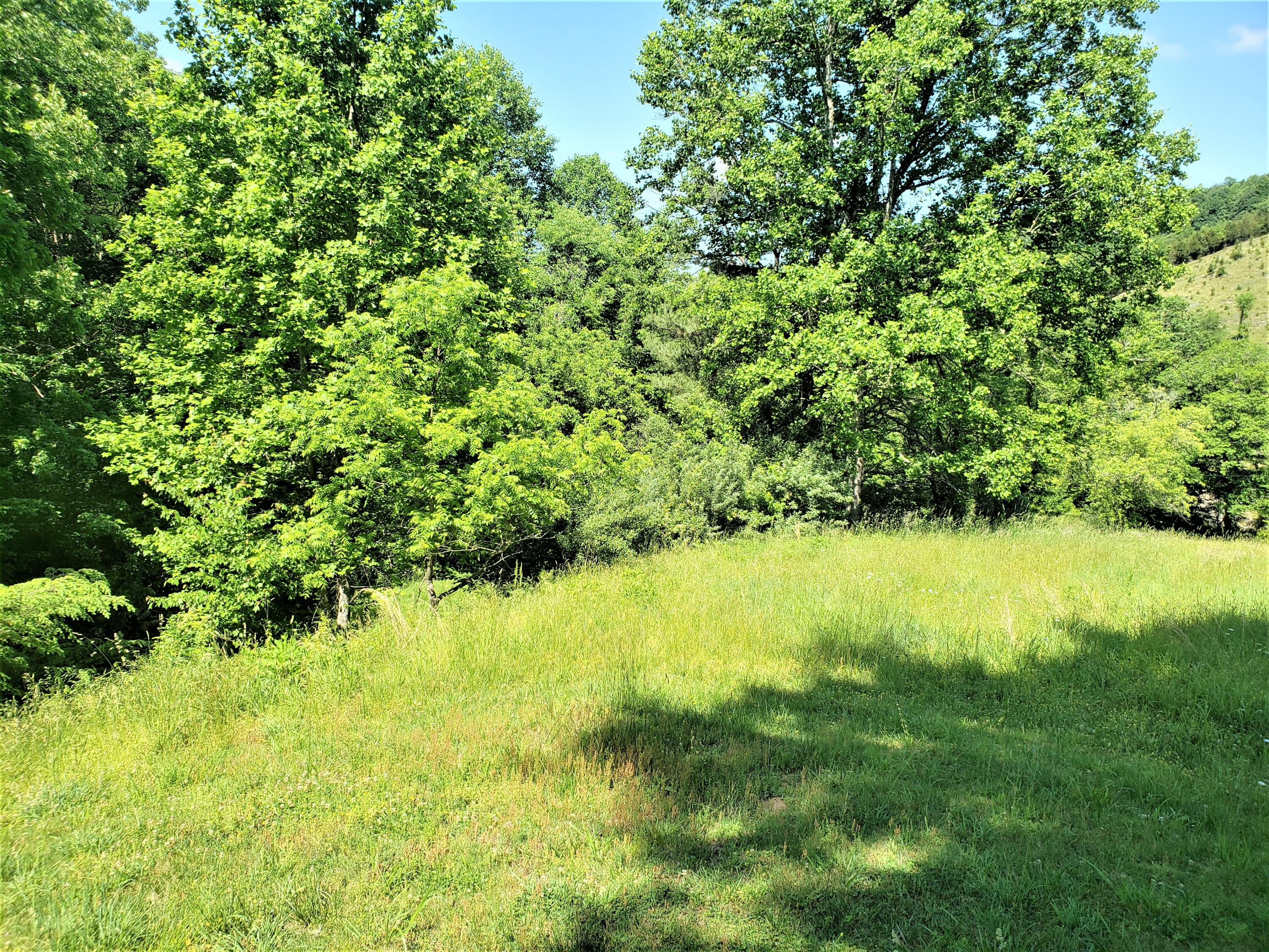 6180 Clinch Mountain Road Eidson, TN 37731 - Photo 32 of 51 32