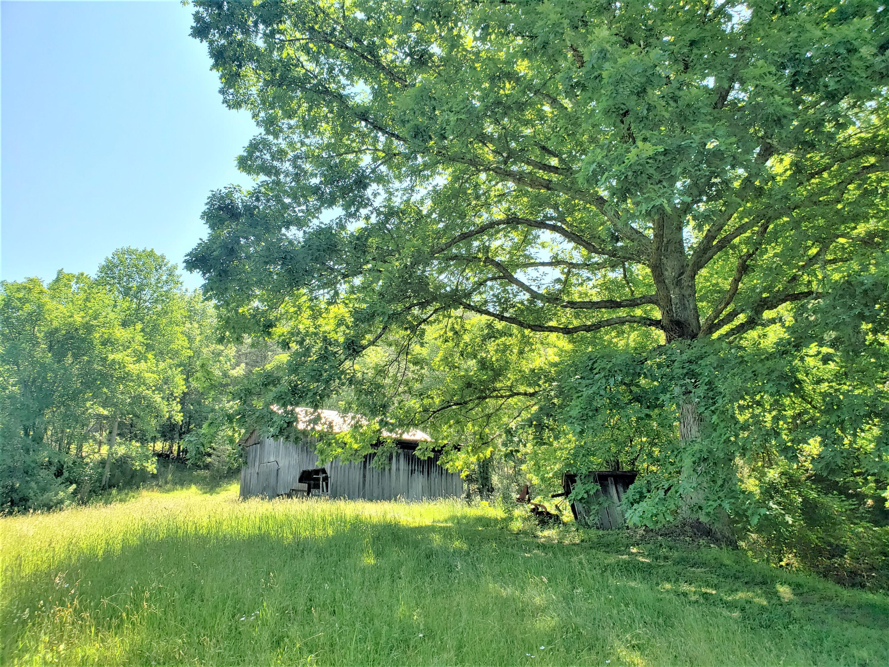 6180 Clinch Mountain Road Eidson, TN 37731 - Photo 33 of 51 33