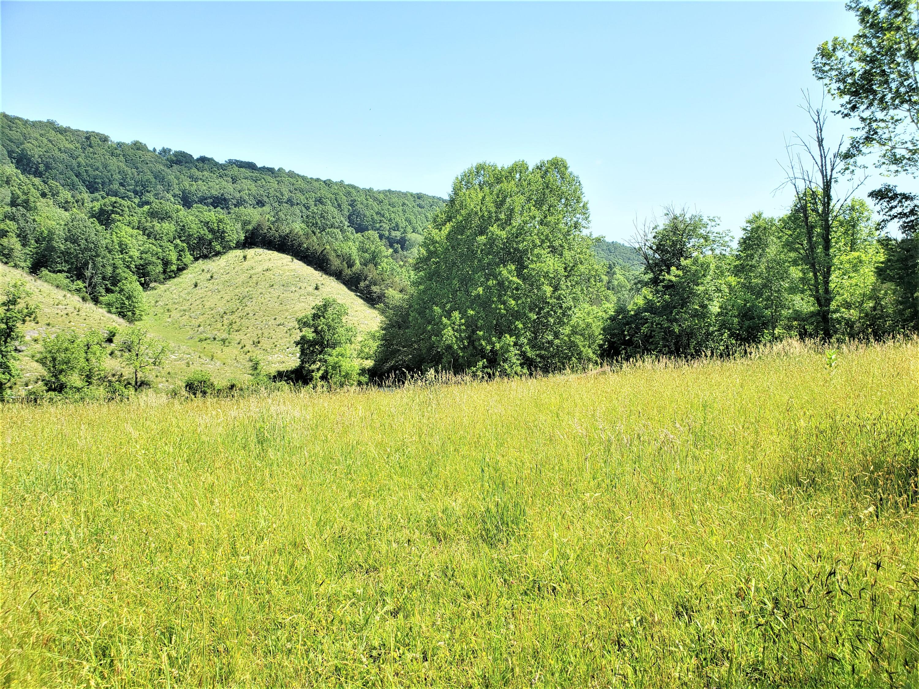 6180 Clinch Mountain Road Eidson, TN 37731 - Photo 34 of 51 34