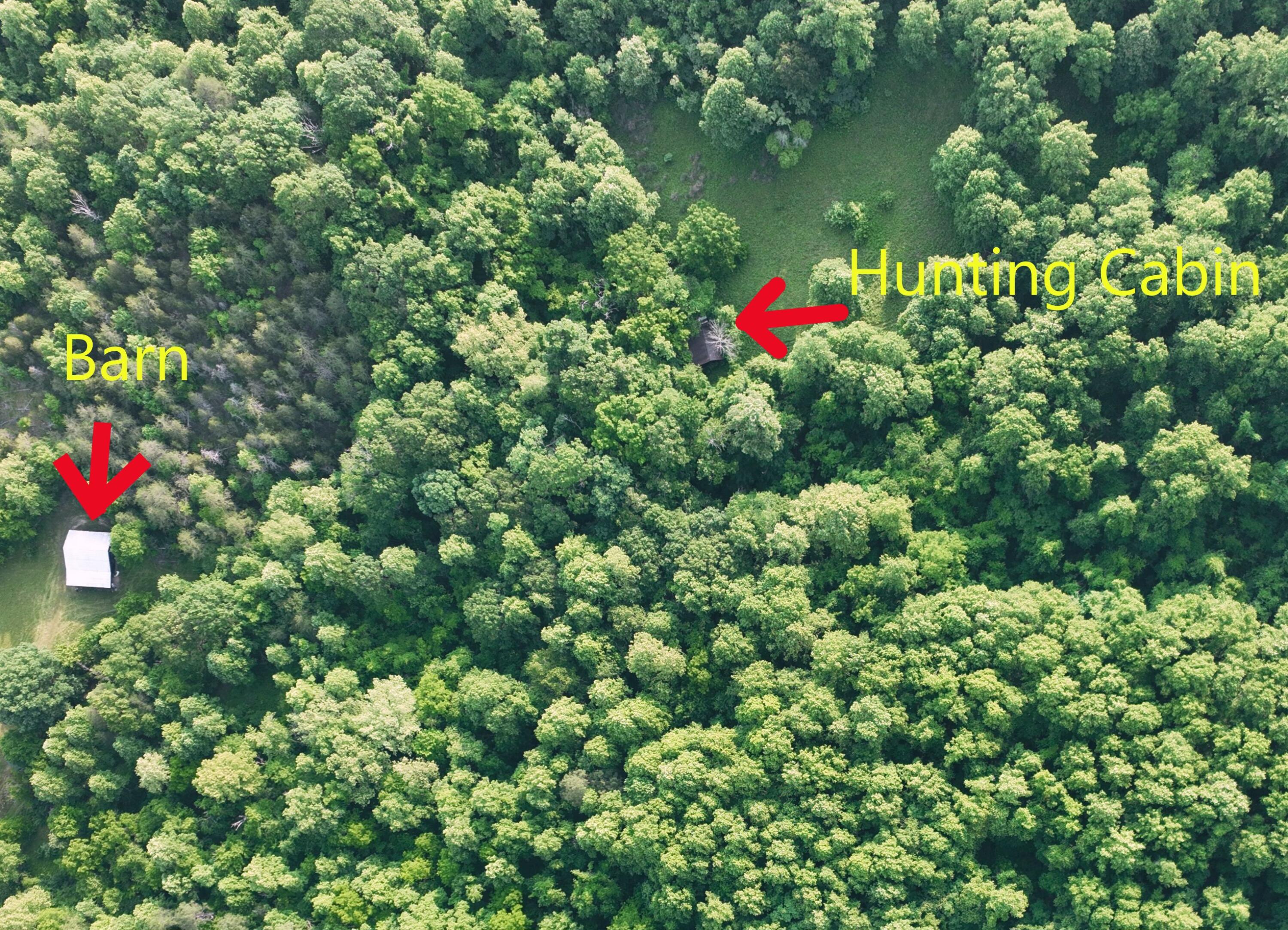 6180 Clinch Mountain Road Eidson, TN 37731 - Photo 36 of 51 52