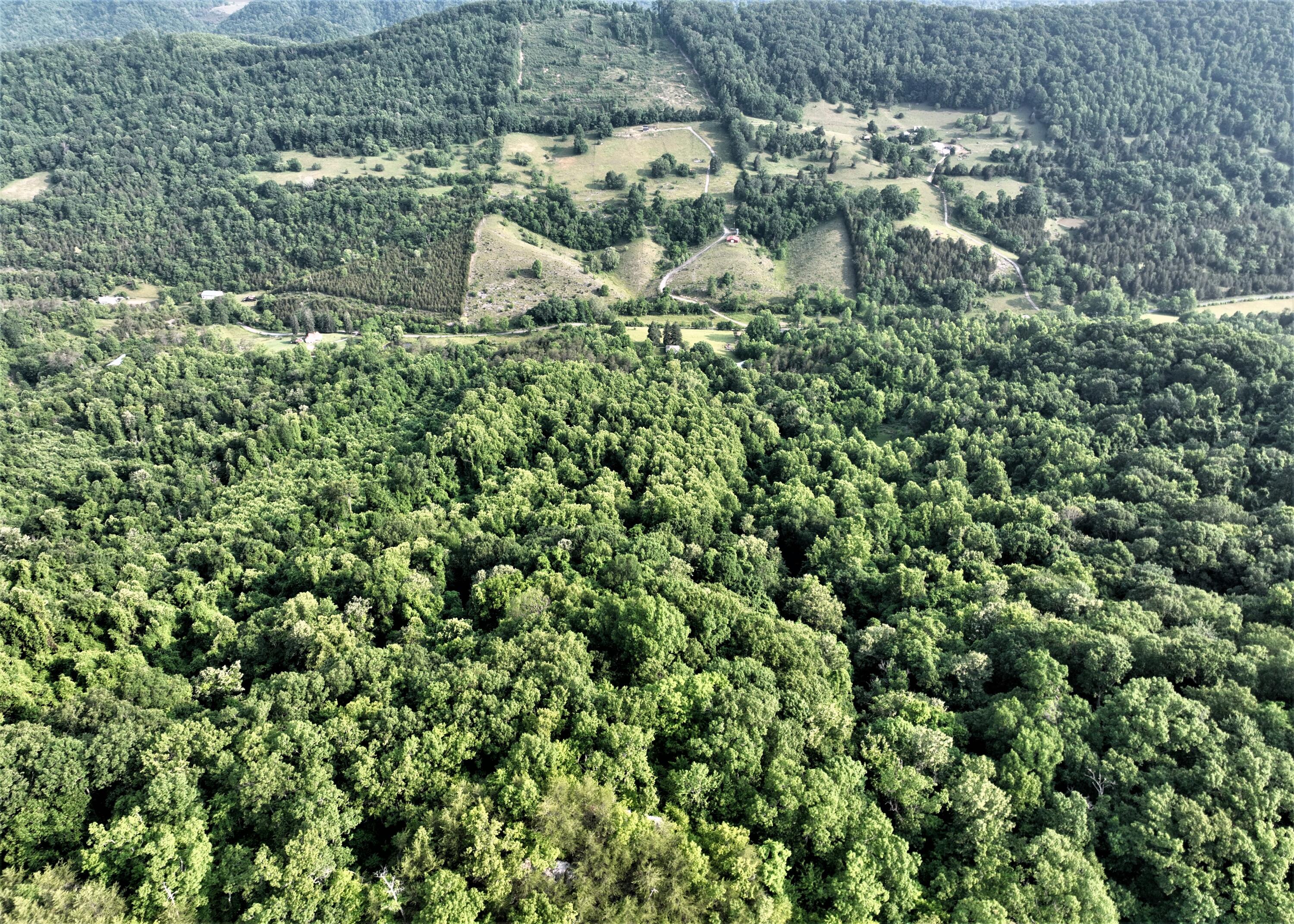 6180 Clinch Mountain Road Eidson, TN 37731 - Photo 39 of 51 55