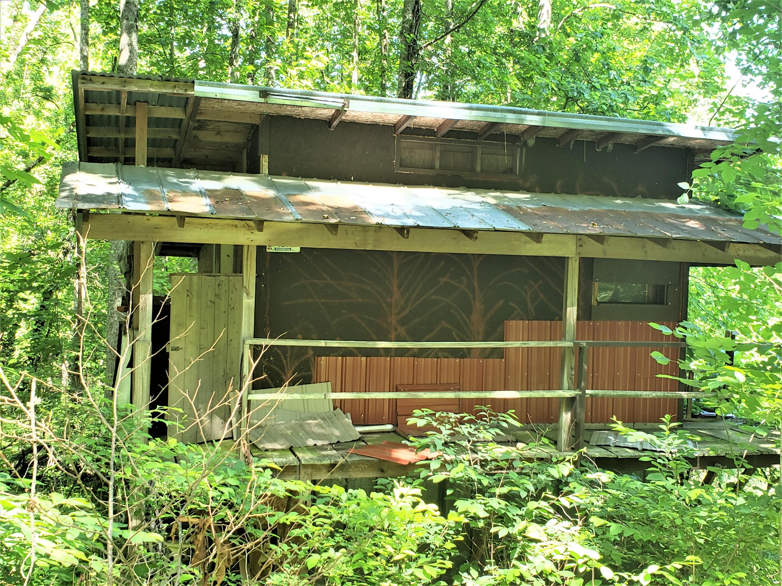 6180 Clinch Mountain Road Eidson, TN 37731 - Photo 5 of 51 22