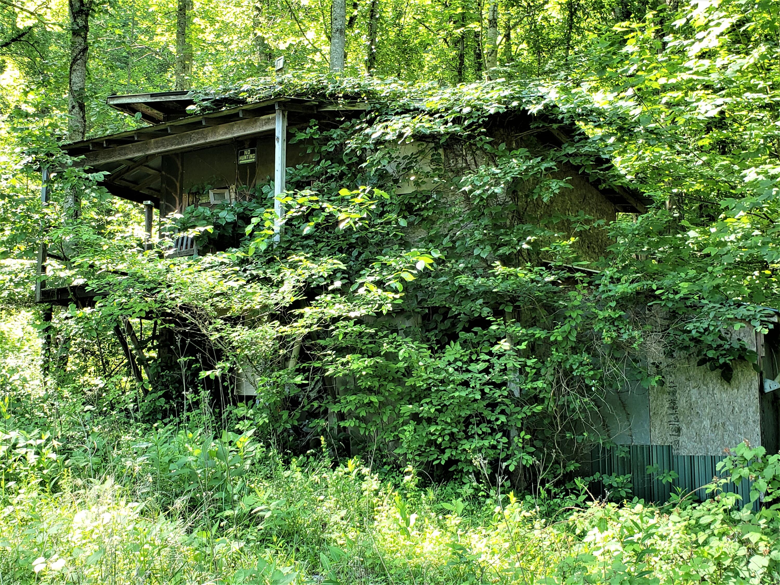 6180 Clinch Mountain Road Eidson, TN 37731 - Photo 7 of 51 3