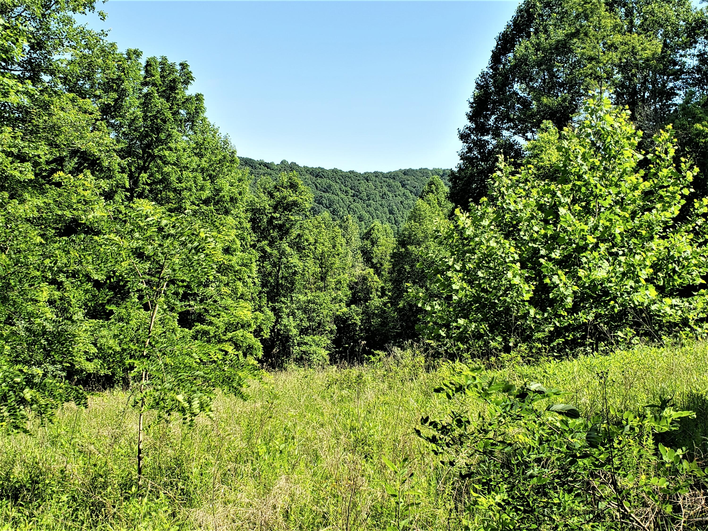 6180 Clinch Mountain Road Eidson, TN 37731 - Photo 8 of 51 4