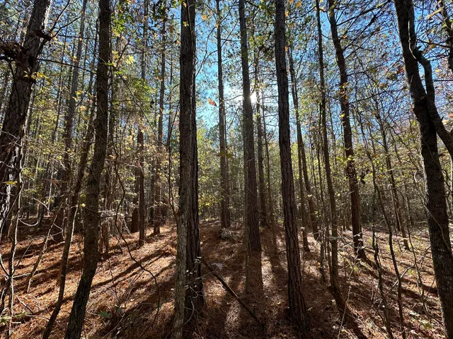 $99,000 | 1229 Edge Lane, Tignall, GA 30668