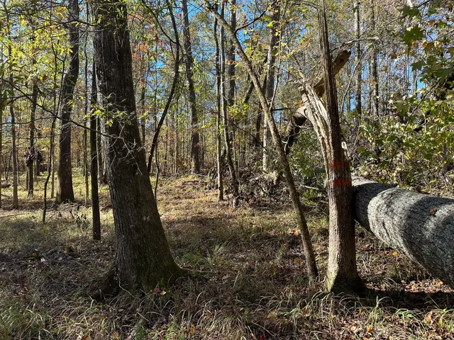 $99,000 | 1229 Edge Lane, Tignall, GA 30668