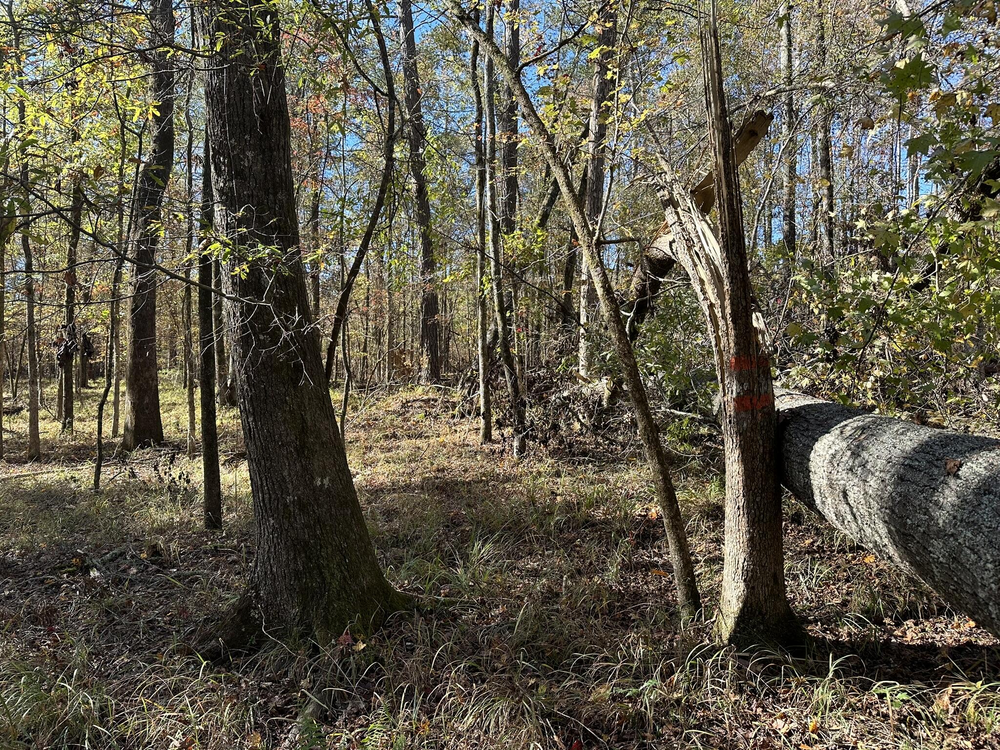 1229 Edge Lane Tignall, GA 30668 - Photo 3 of 13 corps line