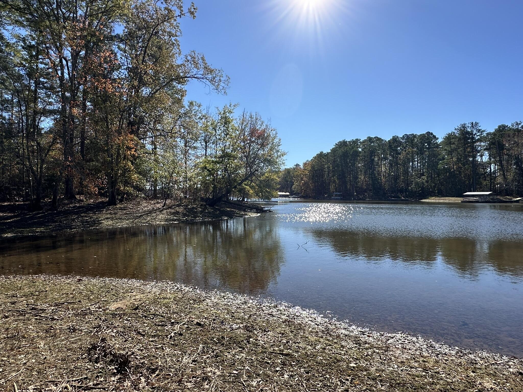 1229 Edge Lane Tignall, GA 30668 - Photo 5 of 13 potential dock site