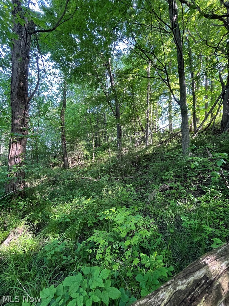 Vl South Ridge Road Geneva, OH 44041 - Photo 23 of 34