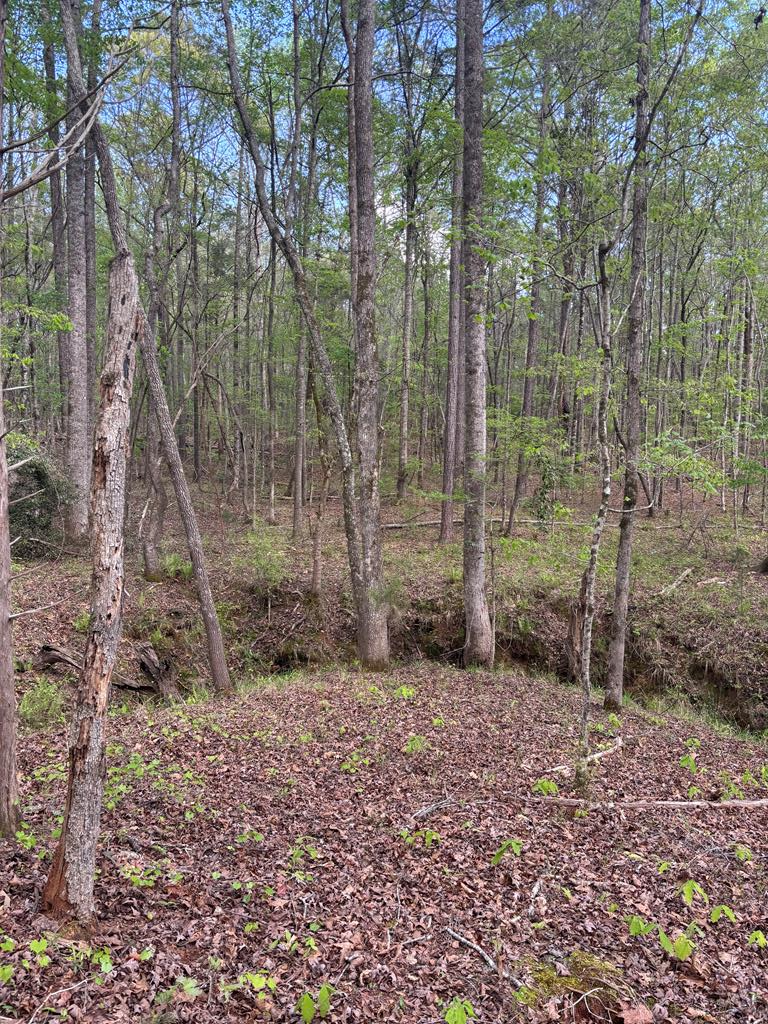 Lot 203 Valley Rescue Mission Road, Unit 203 Hamilton, GA 31811 - Photo 5 of 11 Gallery Image 5