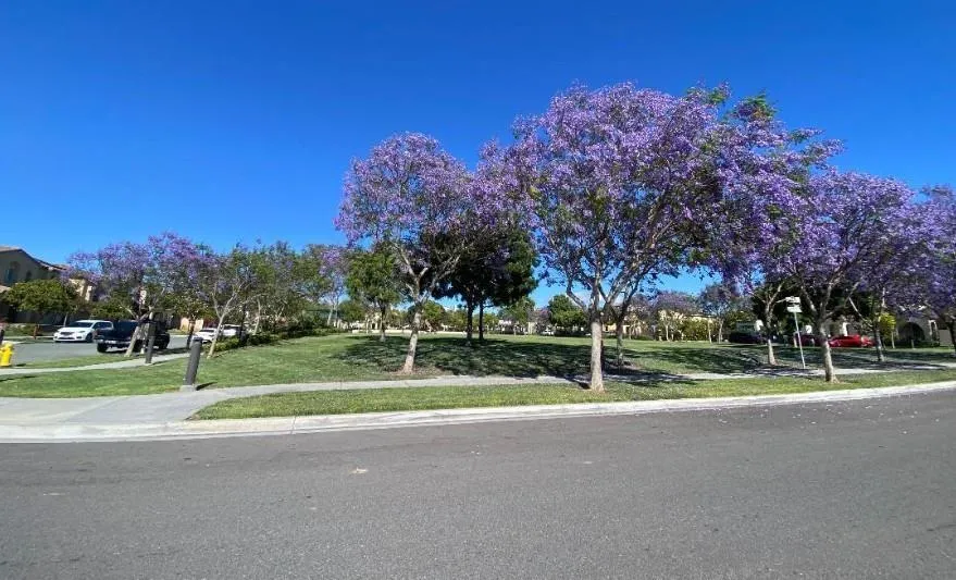 1382 Cathedral Oaks Road Chula Vista, CA 91913 - Photo 4 of 4