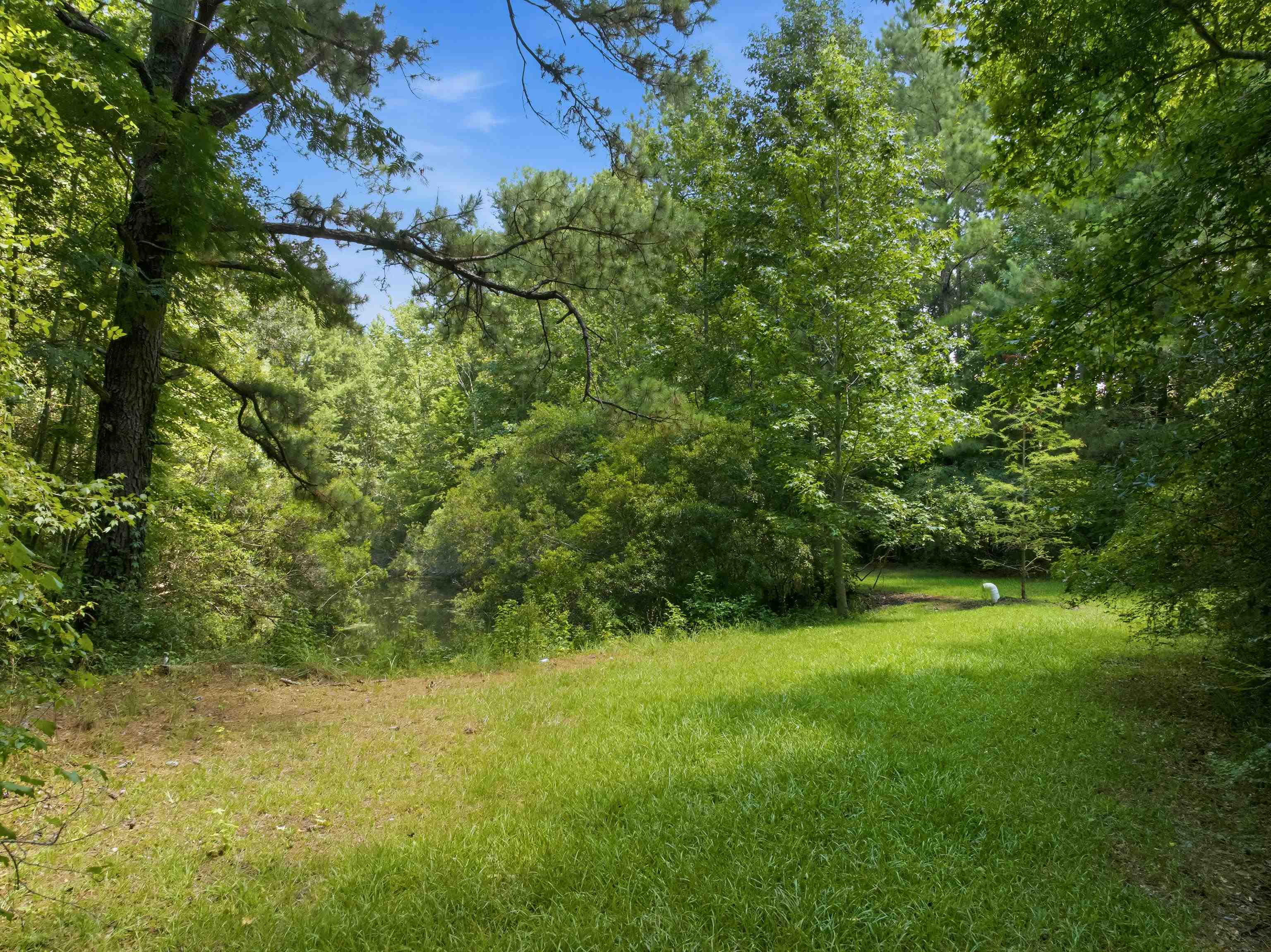 66 Highway 66 Conway, SC 29526 - Photo 5 of 21