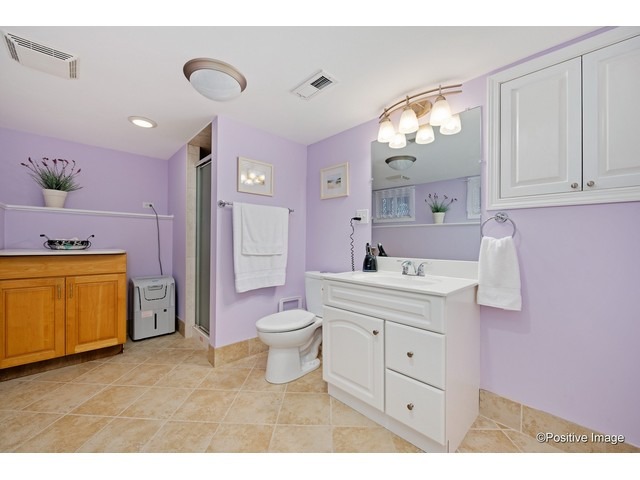 1019 North Delphia Avenue Park Ridge, IL 60068 - Photo 24 of 25 a bathroom with a sink a toilet a mirror and vanity