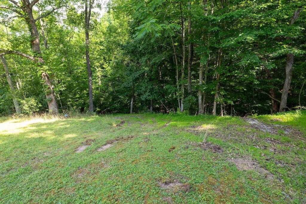 Tbd Byrd Lodge Road Radford, VA 24141 - Photo 25 of 44 26-1-7
