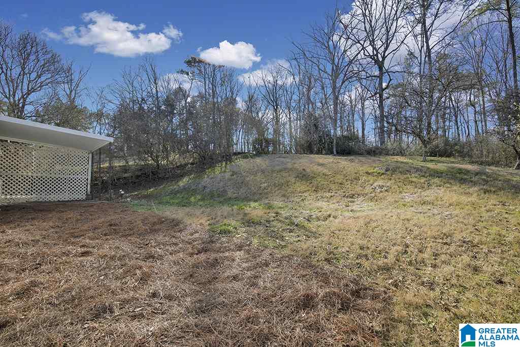 5427 Faucett Road Pinson, AL 35126 - Photo 20 of 20 Gallery Image 20