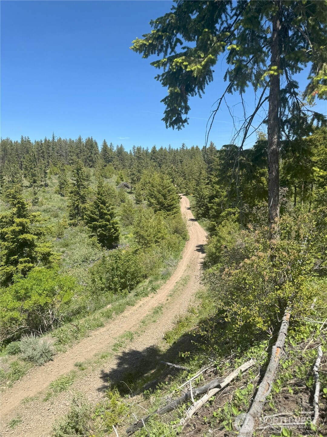 -xx Xx Melvin Road Waterville, WA 98858 - Photo 11 of 40 Gallery Image 11