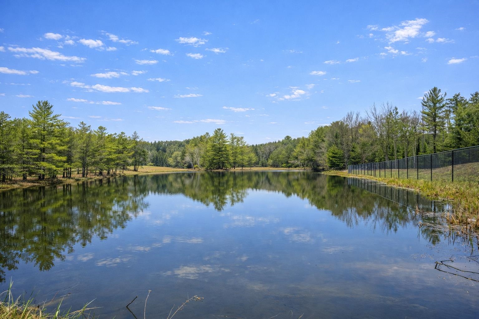 W5120 County Rd G New Lisbon, WI 53950 - Photo 3 of 64