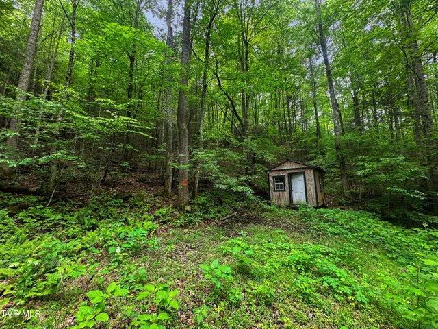 $89,900 | Tbd Paint Mountain Road, Unit 18, Greeneville, TN 37743