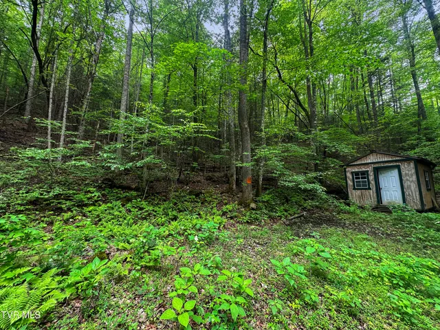 $89,900 | Tbd Paint Mountain Road, Unit 18, Greeneville, TN 37743