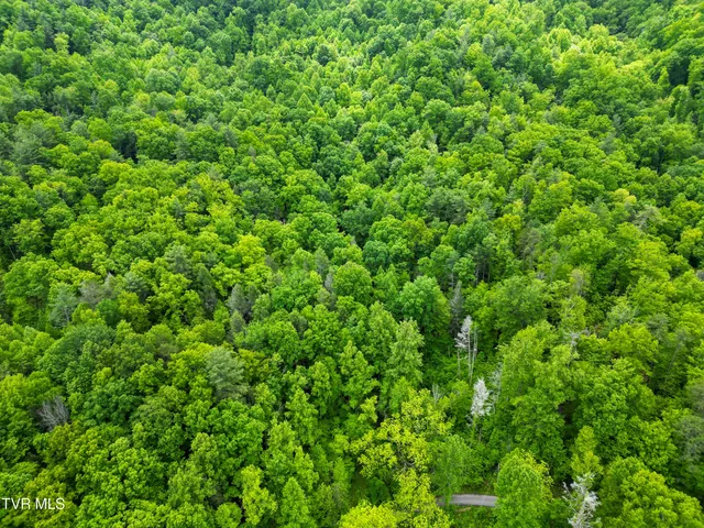 $89,900 | Tbd Paint Mountain Road, Unit 18, Greeneville, TN 37743