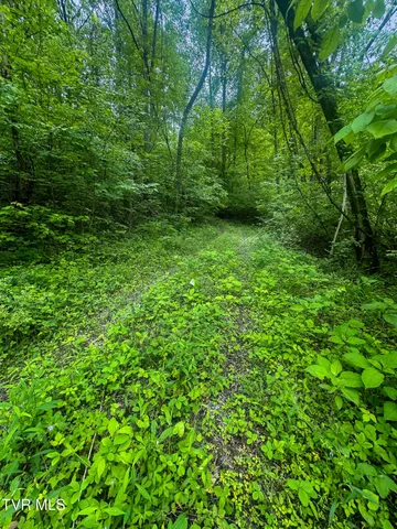 $89,900 | Tbd Paint Mountain Road, Unit 18, Greeneville, TN 37743