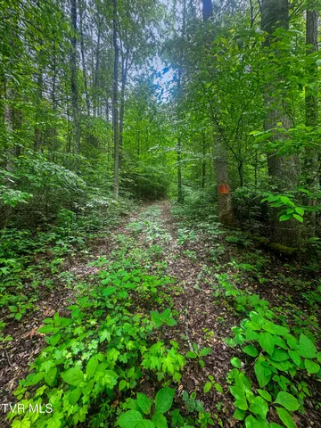 $89,900 | Tbd Paint Mountain Road, Unit 18, Greeneville, TN 37743