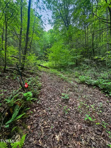 $89,900 | Tbd Paint Mountain Road, Unit 18, Greeneville, TN 37743