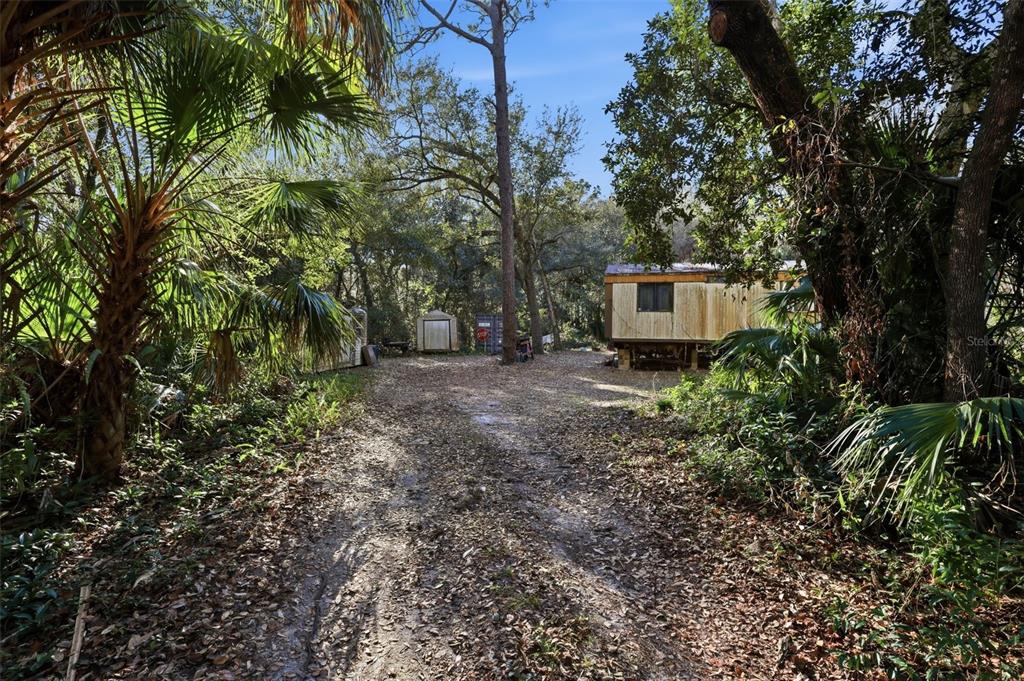 932 Country Club Road Lake Mary, FL 32746 - Photo 11 of 31 a view of a backyard with large trees