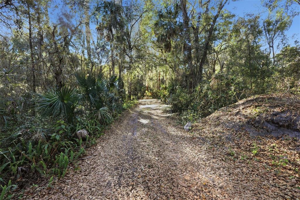 932 Country Club Road Lake Mary, FL 32746 - Photo 13 of 31 a view of outdoor space and trees