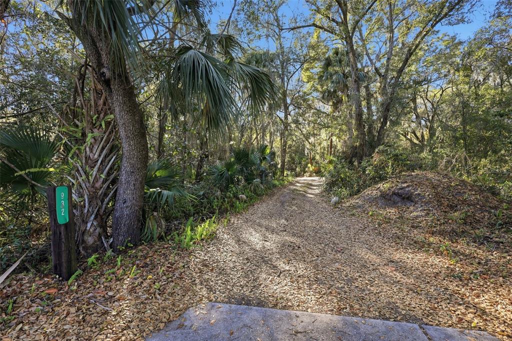 932 Country Club Road Lake Mary, FL 32746 - Photo 14 of 31 a view of a yard with plants and large trees