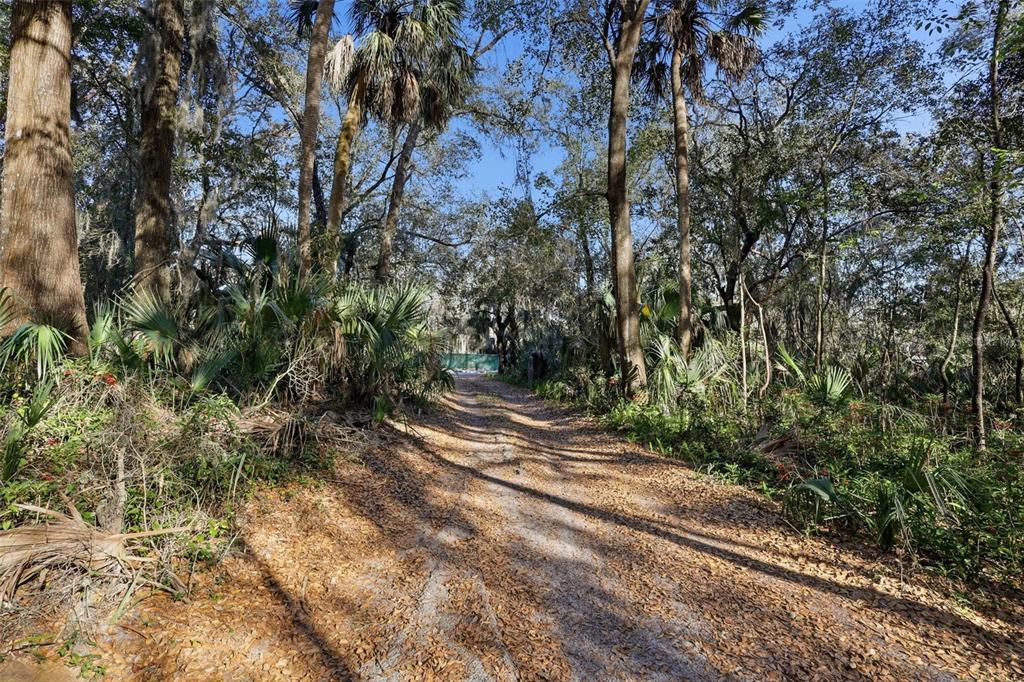 932 Country Club Road Lake Mary, FL 32746 - Photo 16 of 31 a view of a yard with plants and trees