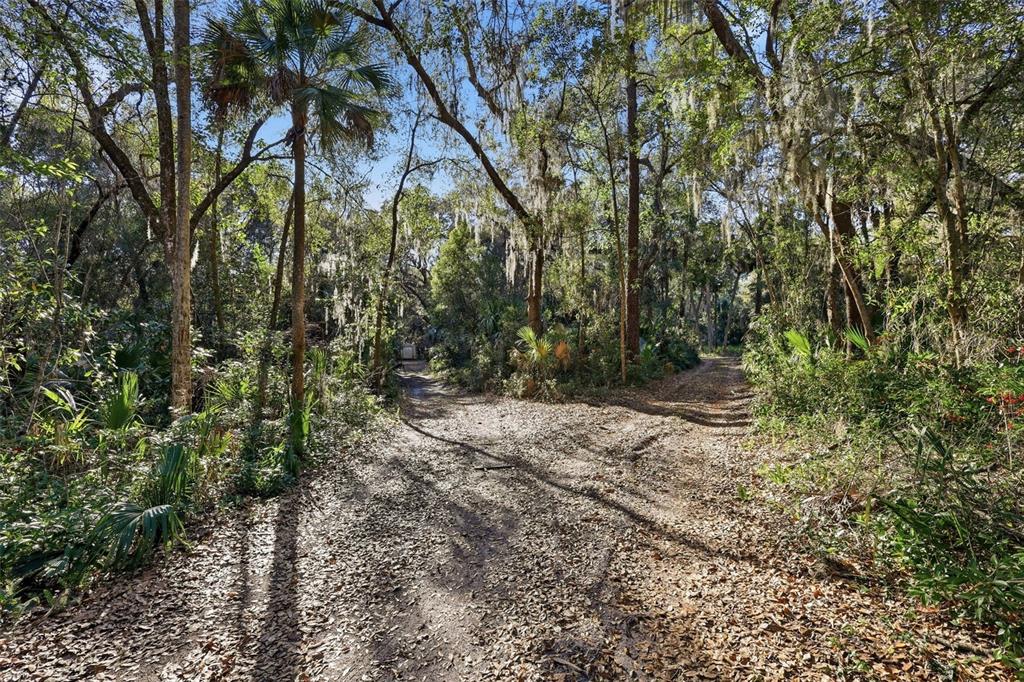 932 Country Club Road Lake Mary, FL 32746 - Photo 19 of 31 a view of a forest with trees