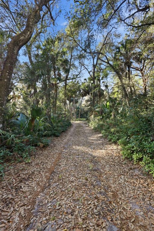 932 Country Club Road Lake Mary, FL 32746 - Photo 21 of 31 a view of a yard with a tree