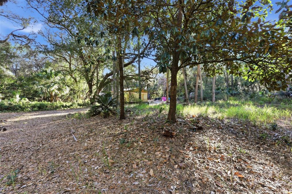 932 Country Club Road Lake Mary, FL 32746 - Photo 22 of 31 a view of a yard with a tree