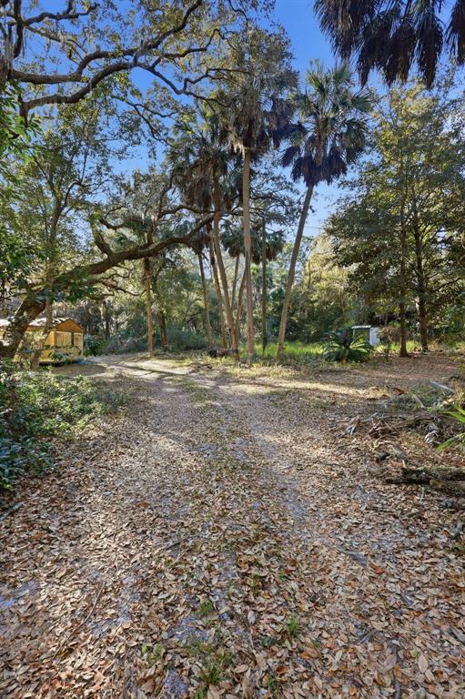 932 Country Club Road Lake Mary, FL 32746 - Photo 23 of 31 a view of dirt field with large trees