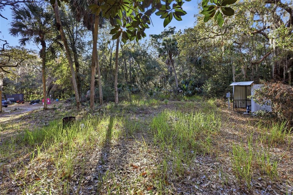 932 Country Club Road Lake Mary, FL 32746 - Photo 24 of 31 a backyard of a house with lots of green space