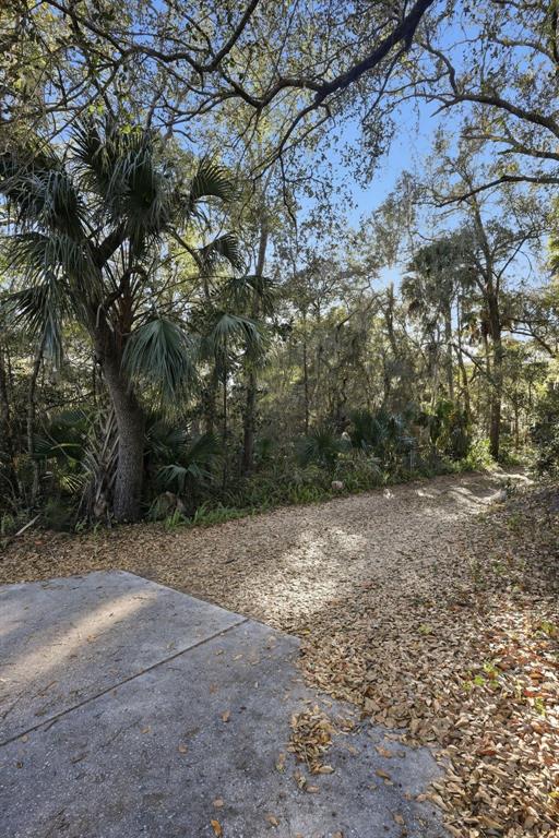 932 Country Club Road Lake Mary, FL 32746 - Photo 25 of 31 a view of a yard with a tree