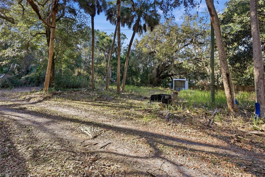 932 Country Club Road Lake Mary, FL 32746 - Photo 26 of 31 a backyard of a house with lots of green space