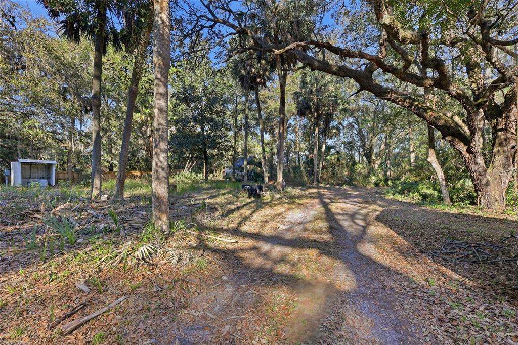 932 Country Club Road Lake Mary, FL 32746 - Photo 29 of 31 a view of outdoor space and yard