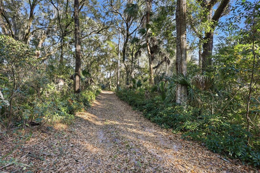 932 Country Club Road Lake Mary, FL 32746 - Photo 31 of 31 a view of a forest with trees