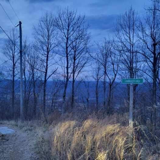 0 Little Bedford Rd Spring Pikeville, TN 37367 - Photo 3 of 14
