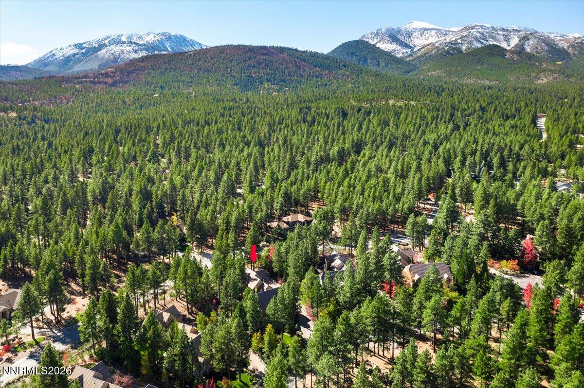 4660 Alpes Way Reno, NV 89511 - Photo 26 of 60 026-DJI_0034