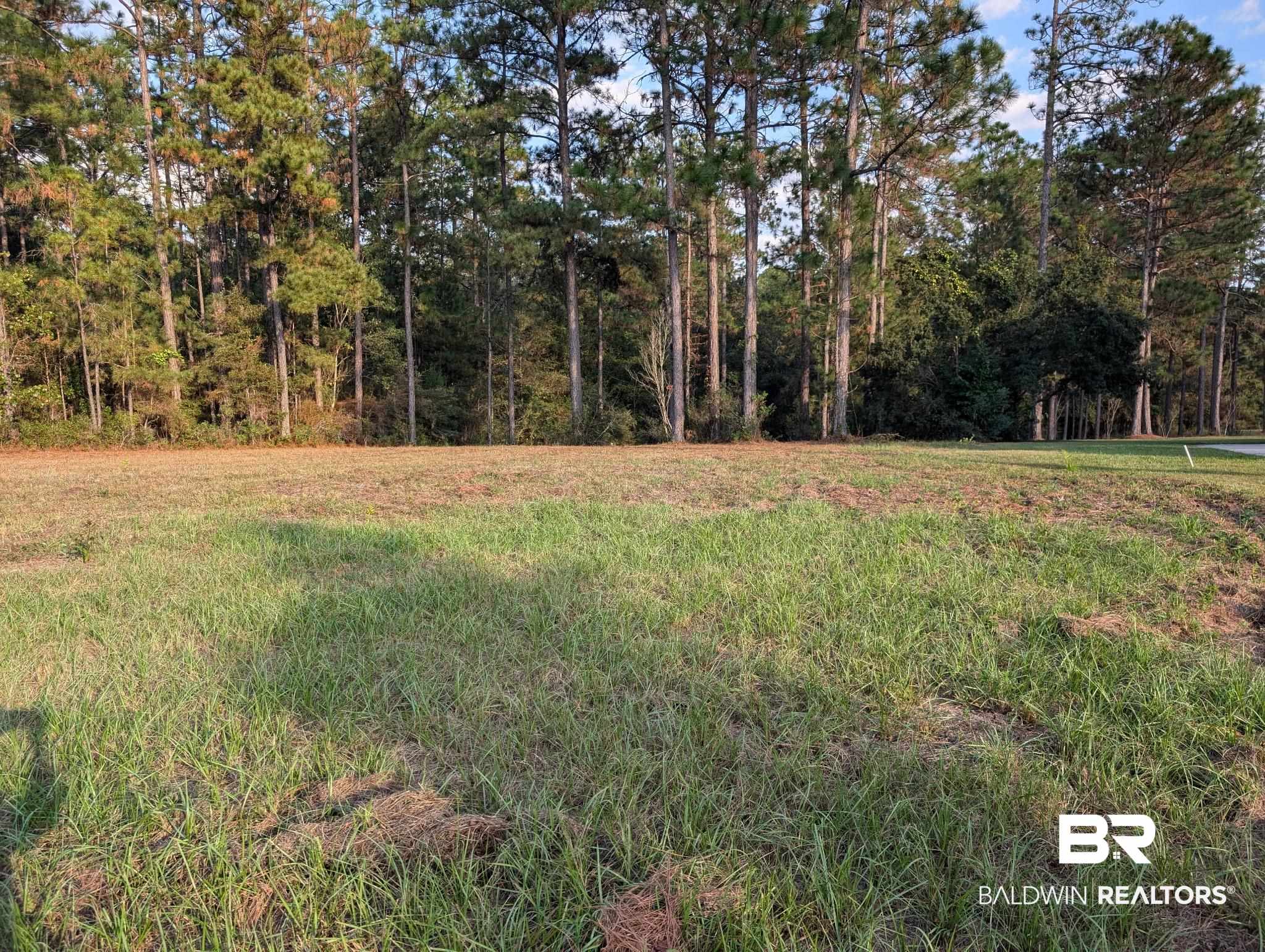245 Juniper Creek Road Brewton, AL 36426 - Photo 2 of 2 View of yard