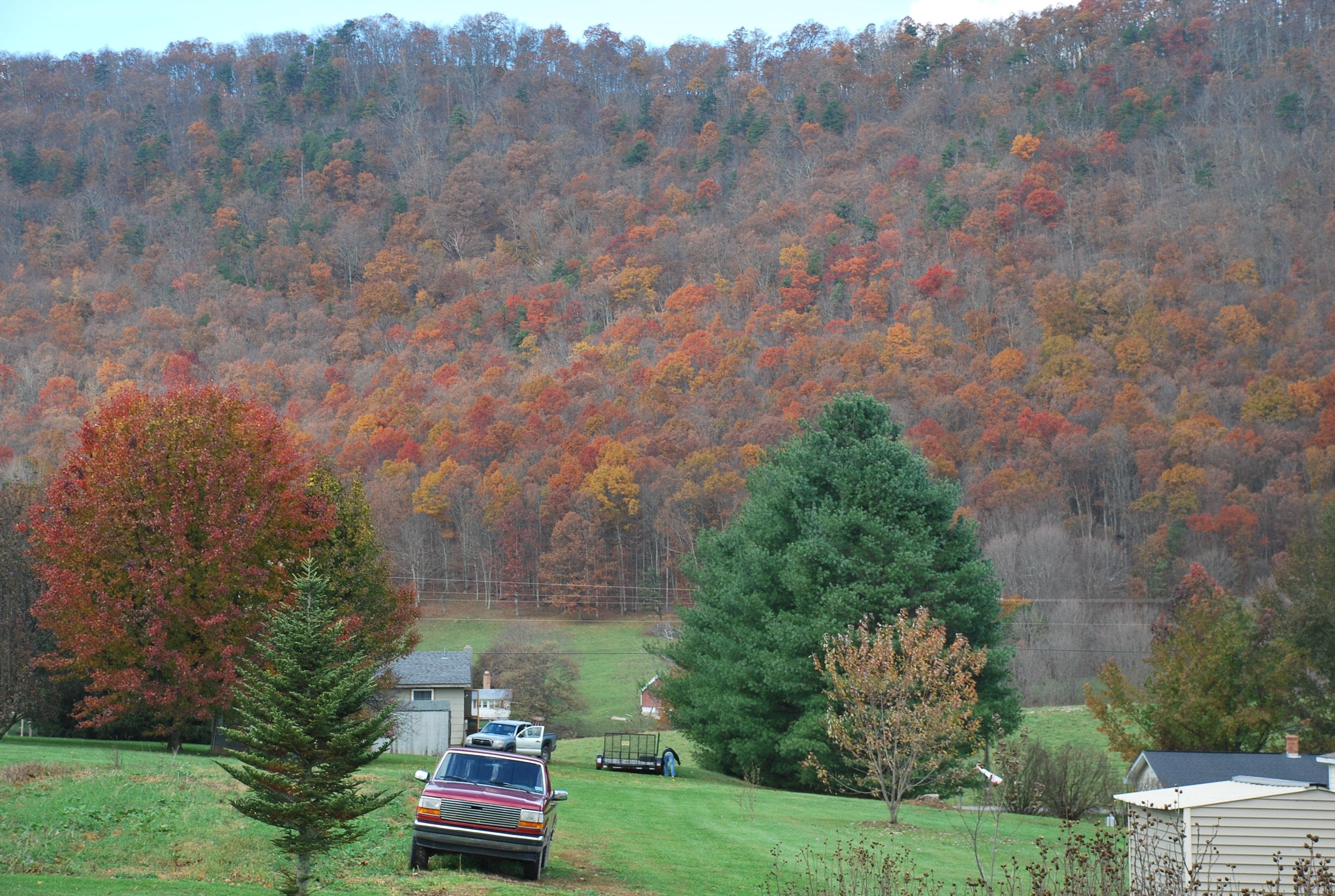 385 Zenith Road Gap Mills, WV 24941 - Photo 24 of 36 Gallery Image 24